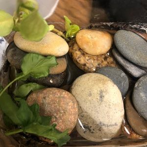 Meet your Posher, Nelida